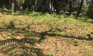 Excelente terreno en fraccionamiento Del Bosque