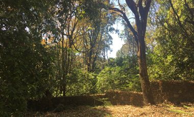 Excelente terreno en fraccionamiento Del Bosque