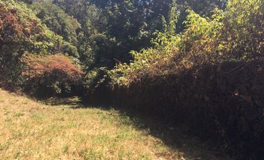 Excelente terreno en fraccionamiento Del Bosque