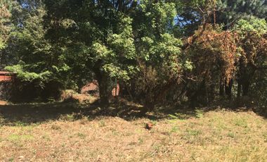 Excelente terreno en fraccionamiento Del Bosque