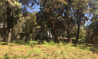 Excelente terreno en fraccionamiento Del Bosque