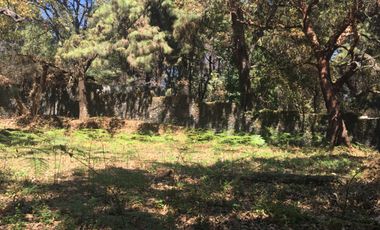 Excelente terreno en fraccionamiento Del Bosque