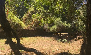 Excelente terreno en fraccionamiento Del Bosque