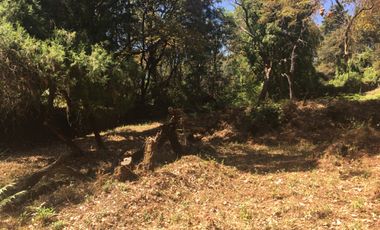 Excelente terreno en fraccionamiento Del Bosque