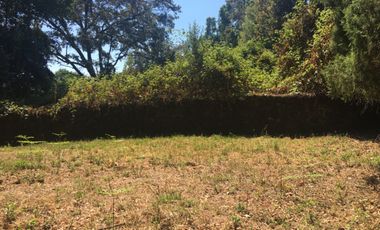 Excelente terreno en fraccionamiento Del Bosque