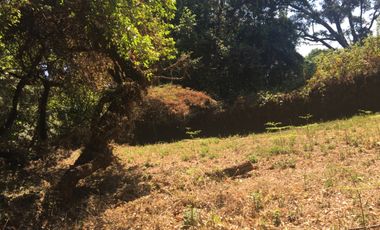 Excelente terreno en fraccionamiento Del Bosque