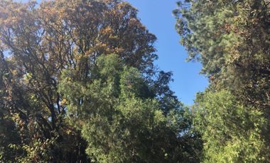 Excelente terreno en fraccionamiento Del Bosque