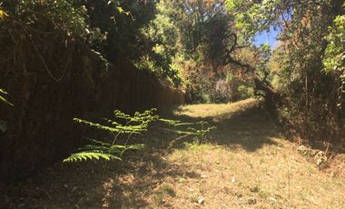 Excelente terreno en fraccionamiento Del Bosque