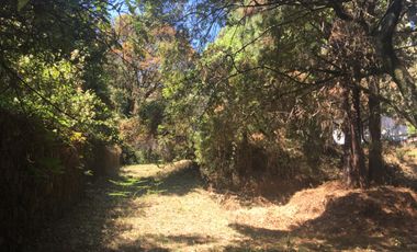 Excelente terreno en fraccionamiento Del Bosque