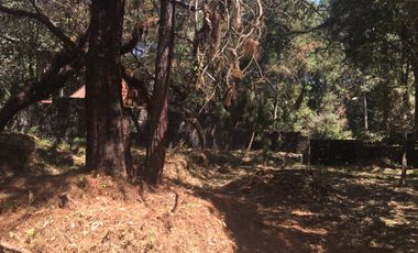 Excelente terreno en fraccionamiento Del Bosque