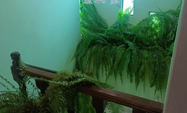 Hermosa casa en venta en Chalco