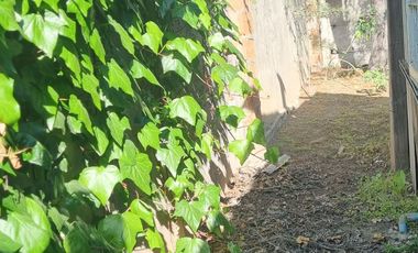 VENDE SITIO A PASOS AVDA CENTRAL V TRIANA RANCAGUA