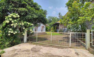 jual villa dan cafe deket kampus view indah