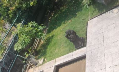 Dijual/Disewakan Rumah Siap Pakai Di Pasir Putih Ancol