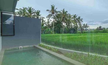 Villa Ubud dengan view sawah cantik