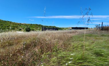 Se vende Parcela por urgencia en Litueche