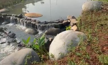 Rumah Pavilion Lake Vista – Shila at Sawangan. Cluster Premium, Ready Stock, Harga Jual Rugi!