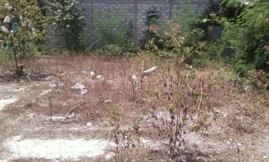 Tanah Dijual di Jalan Raya Piyungan 5 Menit RSUD Prambanan