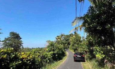 jual tanah bengkel sari selemadeg tabanan