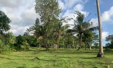 jual tanah bengkel sari selemadeg tabanan