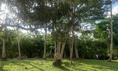 jual tanah bengkel sari selemadeg tabanan