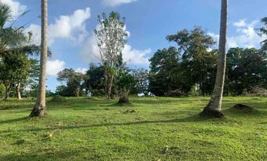 jual tanah bengkel sari selemadeg tabanan