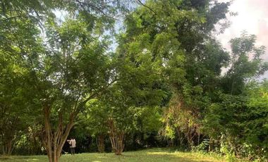jual tanah bengkel sari selemadeg tabanan