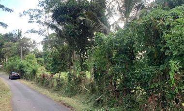 jual tanah bengkel sari selemadeg tabanan