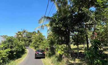 jual tanah bengkel sari selemadeg tabanan