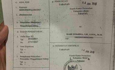 jual tanah bengkel sari selemadeg tabanan