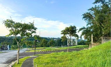 🔥Priced to Sell - Uphill Corner Residential Lot For Sale In Pahara At Southwoods City Near Alabang