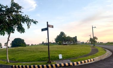 🔥Priced to Sell - Uphill Corner Residential Lot For Sale In Pahara At Southwoods City Near Alabang