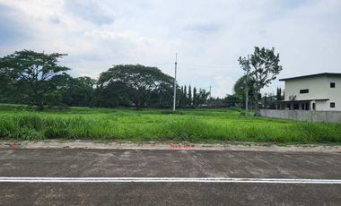 Near Alabang Lot For Sale Inside The Exclusive Village Of Manila Southwoods Residential Estate 12.5 KM From Alabang Exit