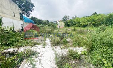 Tanah Disewakan di Kawasan Wisata Batu Dekat Museum Angkut dan Bukit Bintang