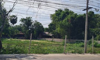 ขายที่ดิน เนื้อที่ 3 งาน 21 ตร.วา ชะอำ เพชรบุรี