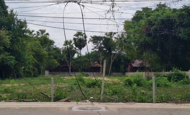 ขายที่ดิน เนื้อที่ 3 งาน 21 ตร.วา ชะอำ เพชรบุรี