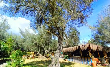 Vendo Conjunto con 8 cabañas en Villa de Leyva