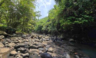Dijual tanah los sungai bebatuan di tabanan bali