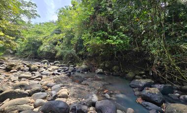 Dijual tanah los sungai bebatuan di tabanan bali