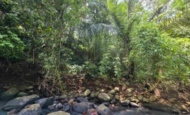 Dijual tanah los sungai bebatuan di tabanan bali