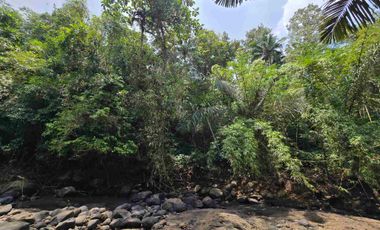 Dijual tanah los sungai bebatuan di tabanan bali