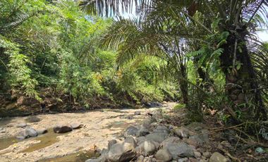 Dijual tanah los sungai bebatuan di tabanan bali