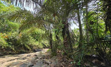 Dijual tanah los sungai bebatuan di tabanan bali