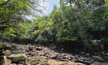 Dijual tanah los sungai bebatuan di tabanan bali