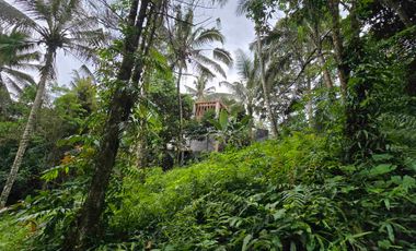 Dijual tanah los sungai bebatuan di tabanan bali