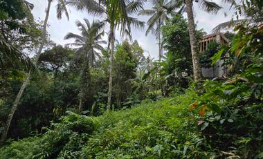 Dijual tanah los sungai bebatuan di tabanan bali