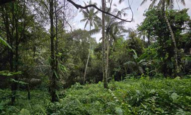 Dijual tanah los sungai bebatuan di tabanan bali