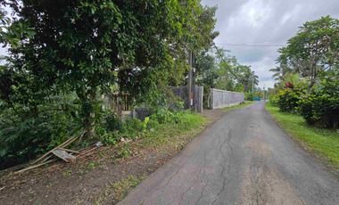 Dijual tanah los sungai bebatuan di tabanan bali