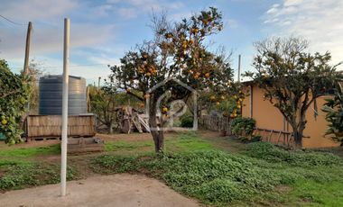 EN VENTA 2 CABAÑAS 2D1B EN PARCELA DE AGRADO, LAS BARRANCAS, COQUIMBO