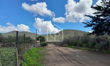 EN VENTA 2 CABAÑAS 2D1B EN PARCELA DE AGRADO, LAS BARRANCAS, COQUIMBO
